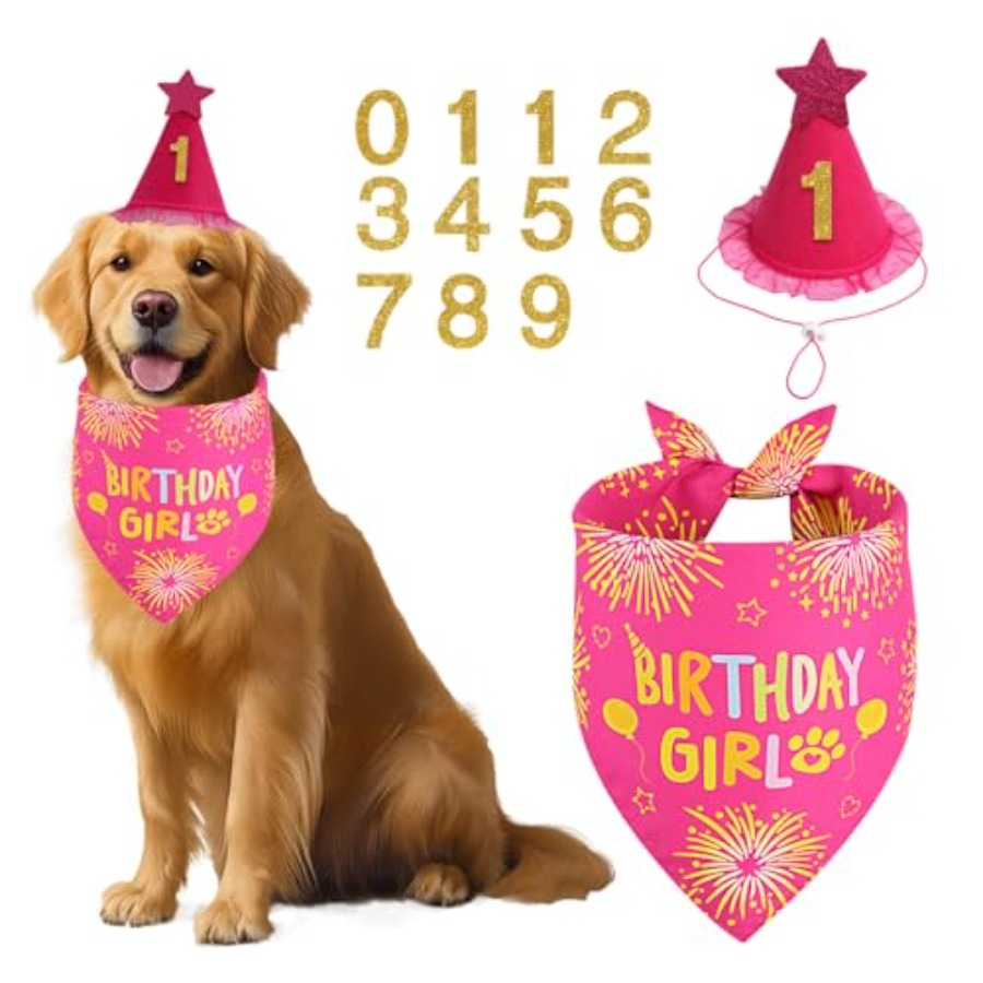 Pet X Supplies & Tack - Dog Birthday Party Supplies, Rose Pink