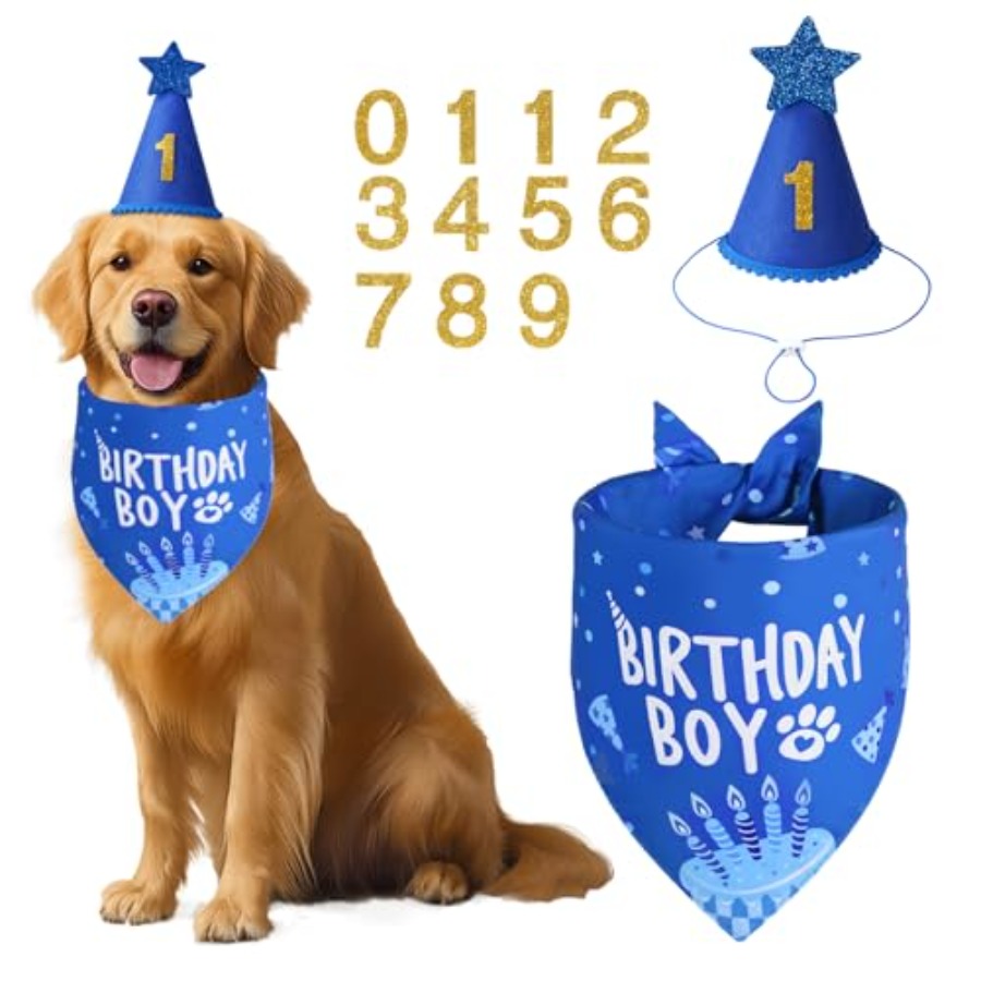 Pet X Supplies & Tack - Dog Birthday Party Supplies, Blue Dog