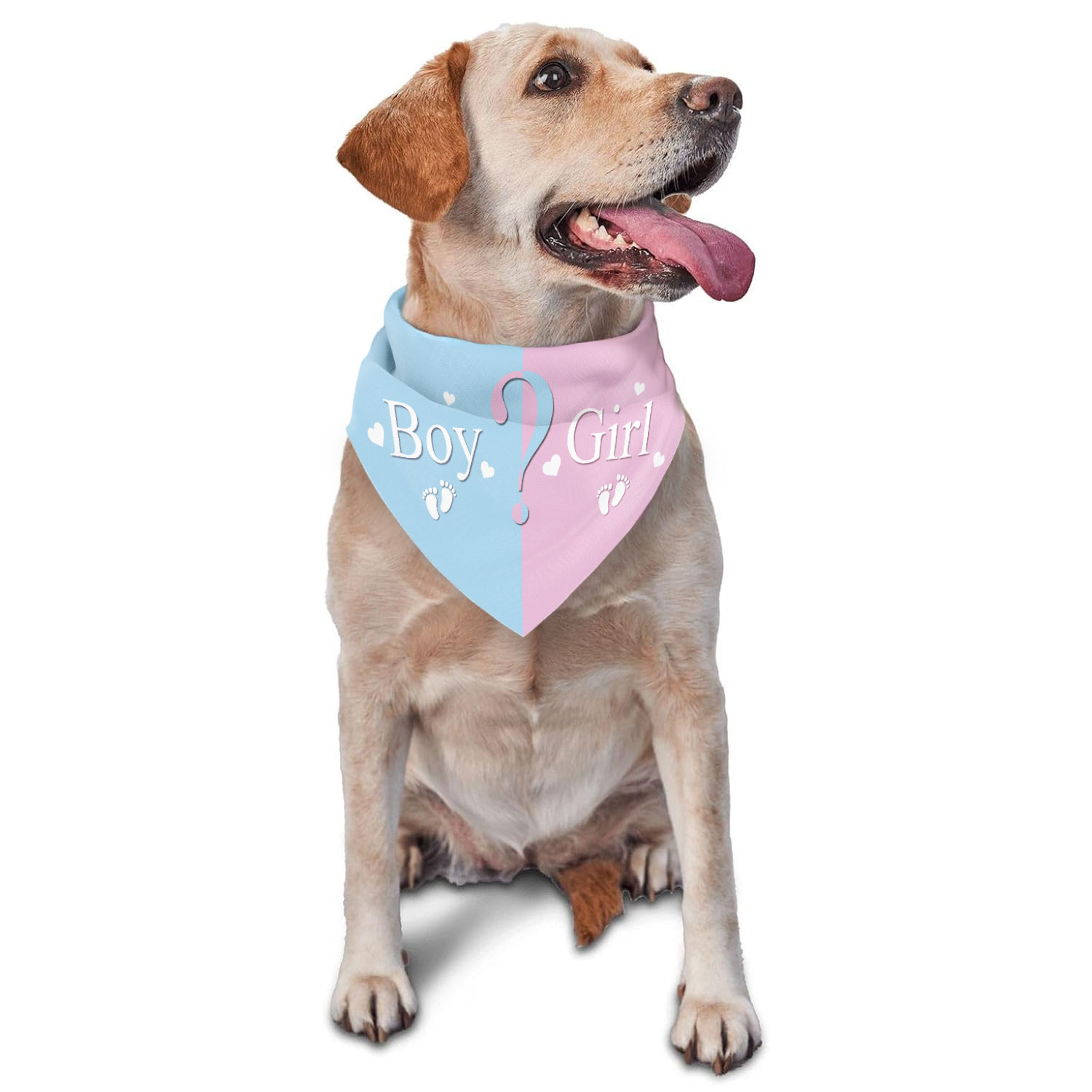 Pet Supplies Outlet - Gender Reveal Pet Bandana - Pink
