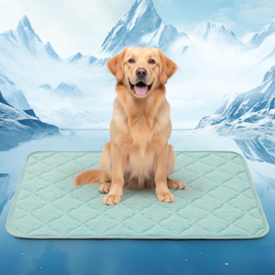 Dog Cooling Mat for Extra Larg - Dog Cooling Mat ulasan dan harga
