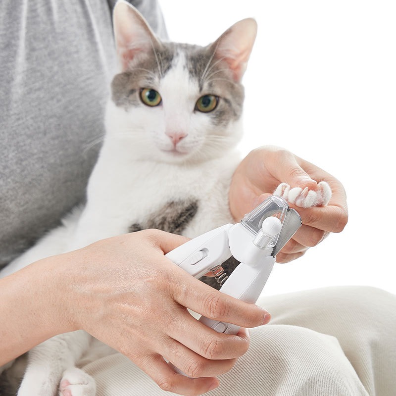 PETKIT Hair Cutting Machine Do - Pet Supplies Grooming Hours ulasan dan harga