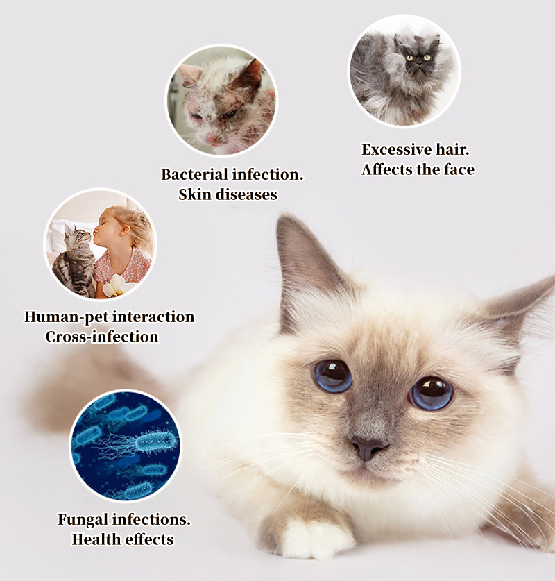 Cat Comb Dog Hair Remover Brus - Pet Supplies Grooming Hours ulasan dan harga