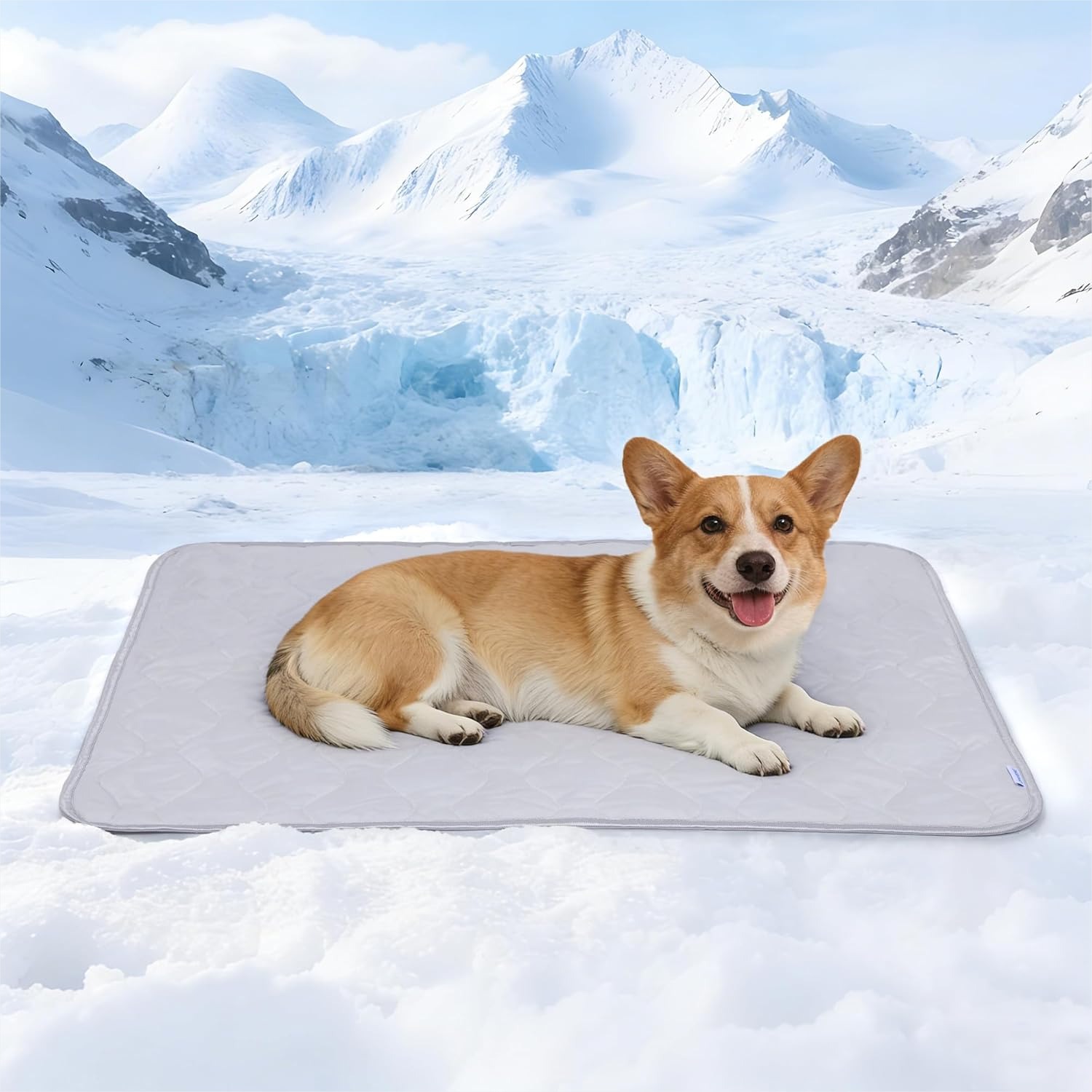 Cooling Blanket for Medium Dog - Dog Cooling Mat ulasan dan harga