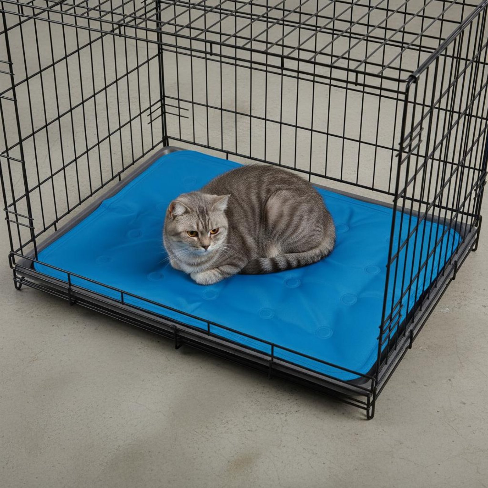 Pet Cooling Mat Gel Cooling Pa - Dog Cooling Mat ulasan dan harga