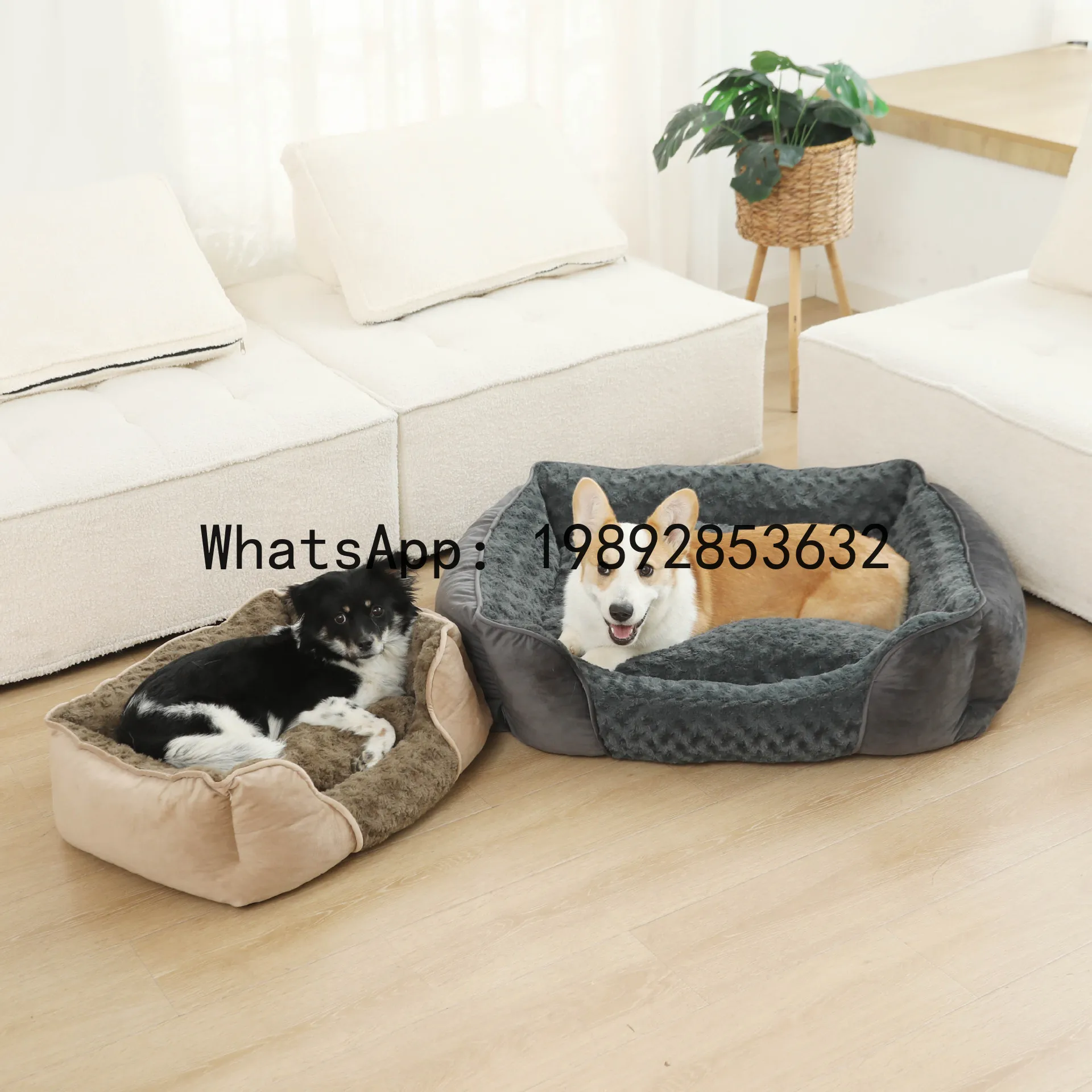 X cat house semi-enclosed dog  - Pet X Supplies & Tack ulasan dan harga