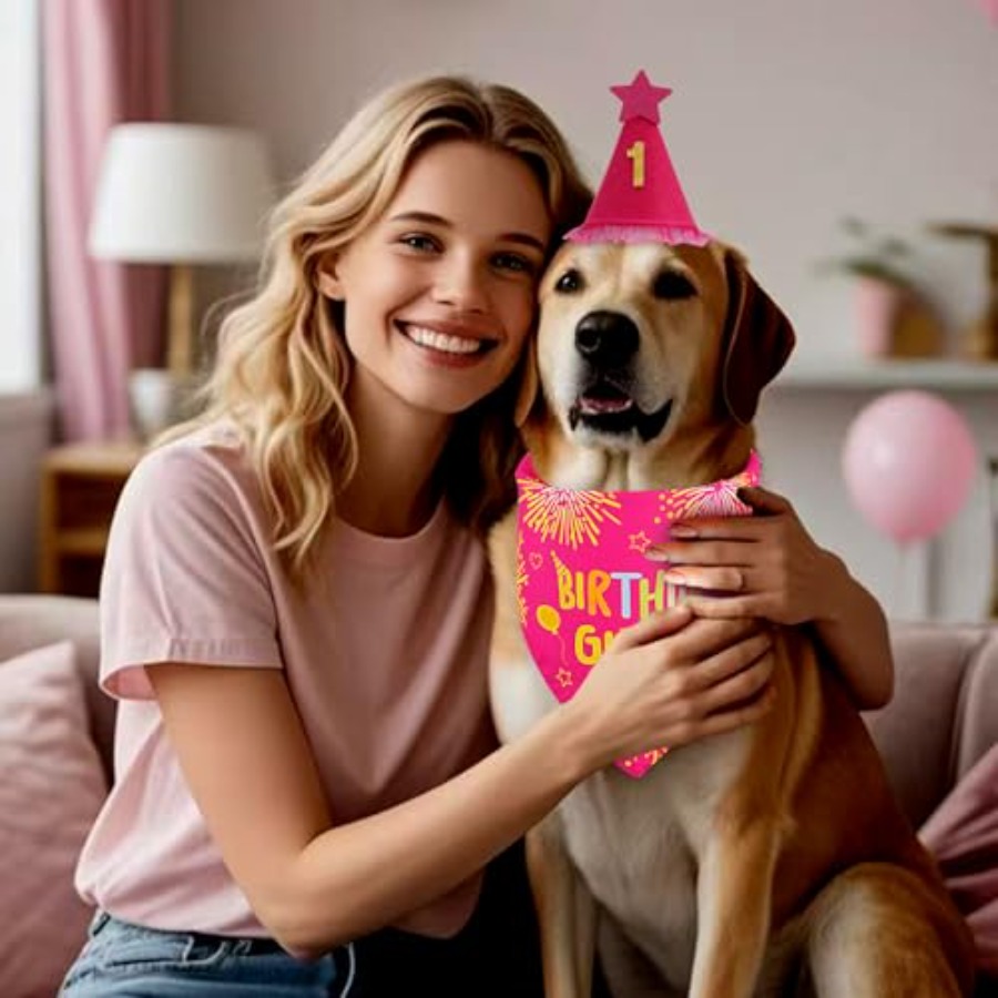 Dog Birthday Party Supplies, R - Pet X Supplies & Tack ulasan dan harga