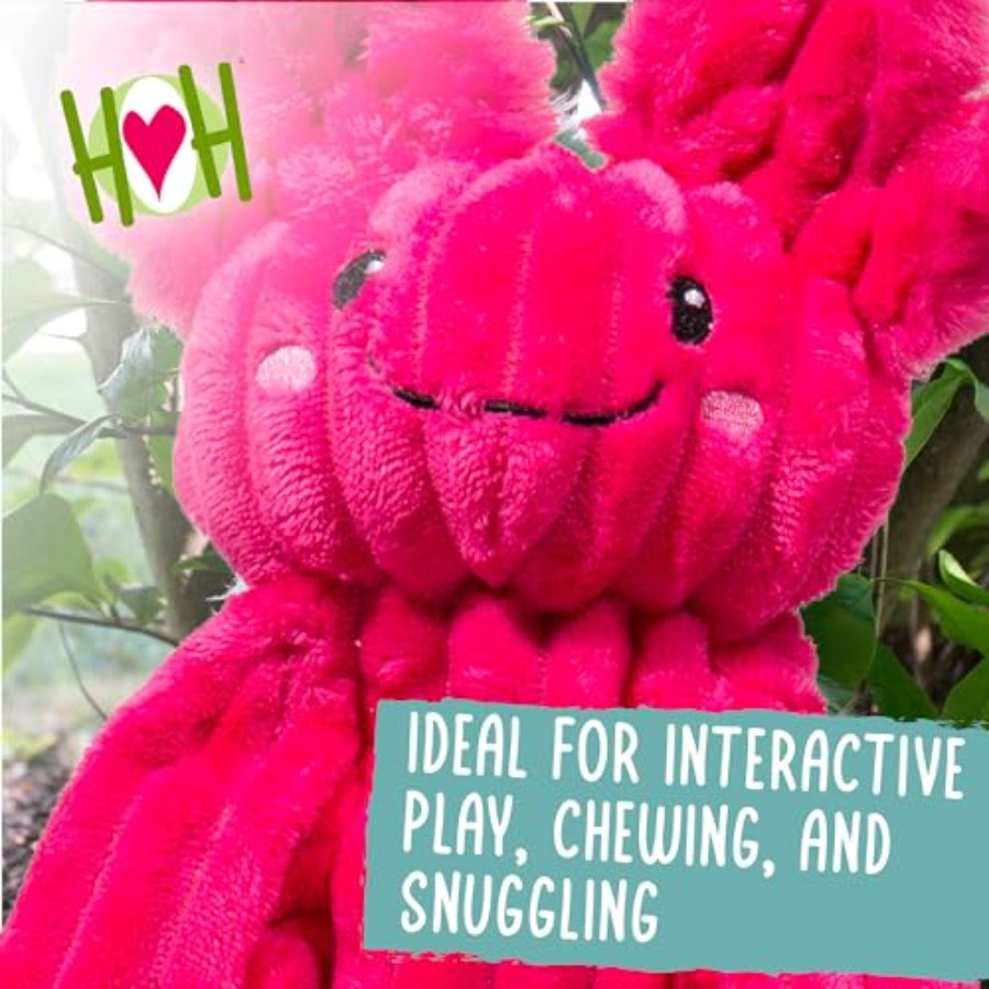 X-Brace Squeaky Dog Toy - Inte - Pet X Supplies & Tack ulasan dan harga