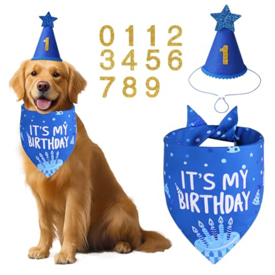 Dog Birthday Party Supplies, B - Pet X Supplies & Tack ulasan dan harga