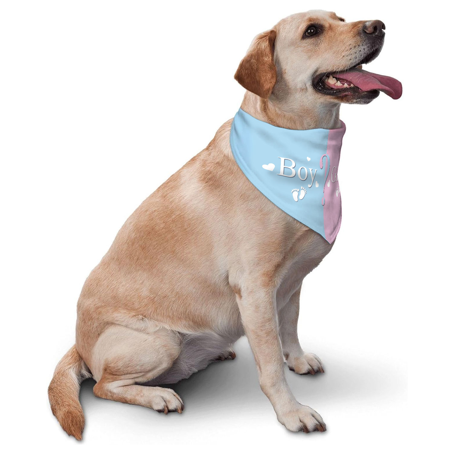 Gender Reveal Pet Bandana - Pi - Pet Supplies Outlet ulasan dan harga