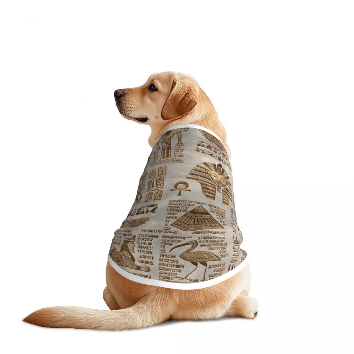 Egyptian Hieroglyphs And Deiti - Pet Supplies Egypt ulasan dan harga
