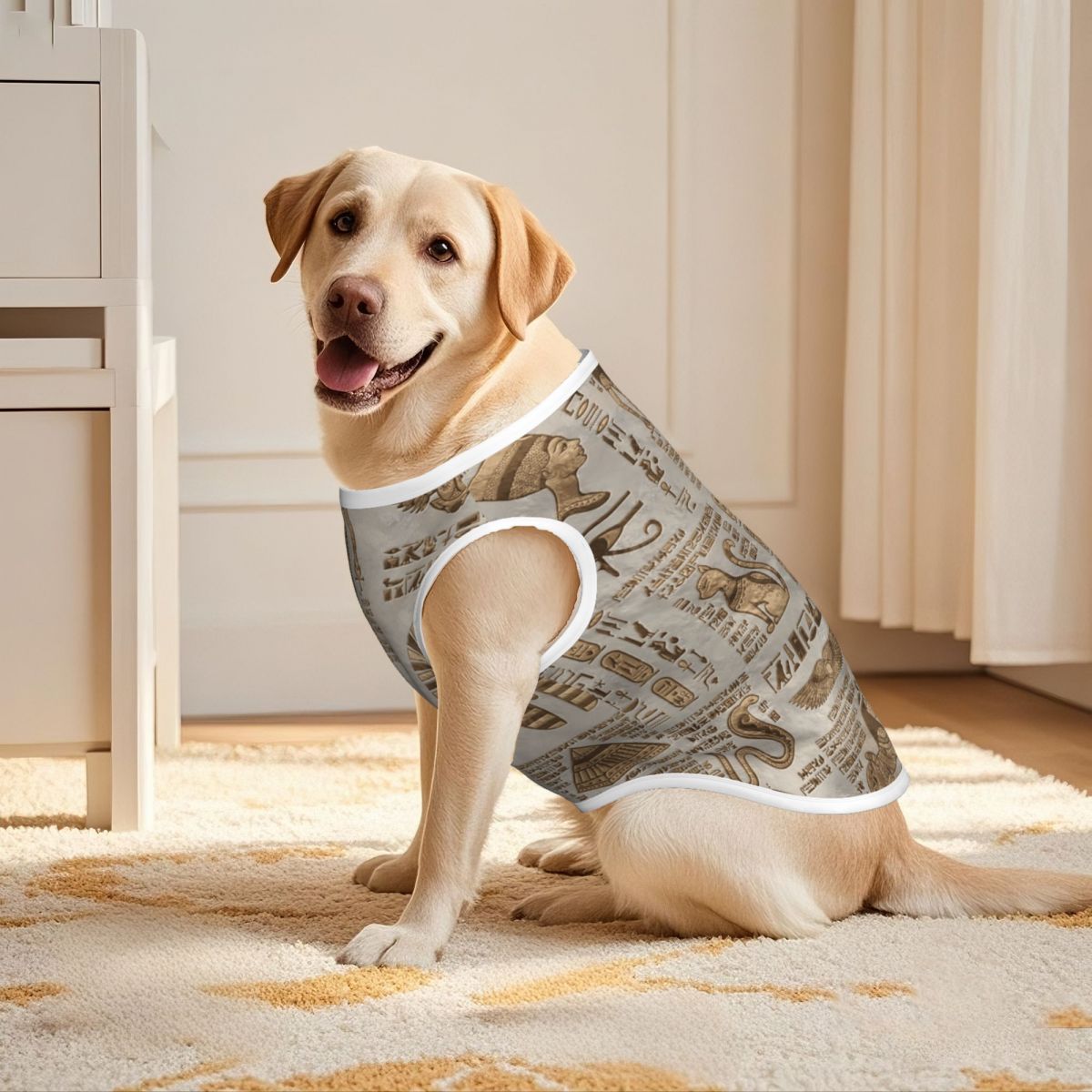 Egyptian Hieroglyphs And Deiti - Pet Supplies Egypt ulasan dan harga