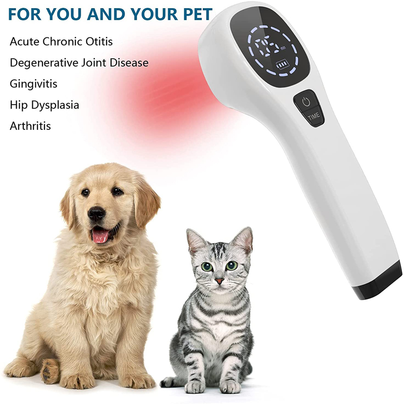 2x808nm Cold Laser Therapy Dev - Pet Supplies Outlet ulasan dan harga