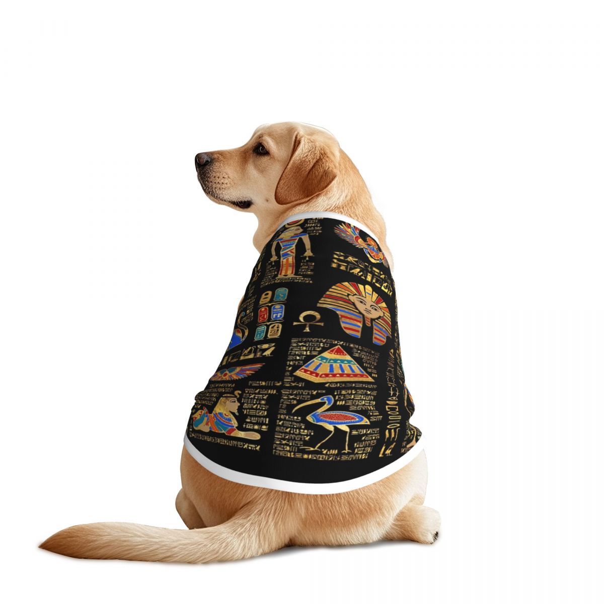 Egyptian Hieroglyphs And Deiti - Pet Supplies Egypt ulasan dan harga